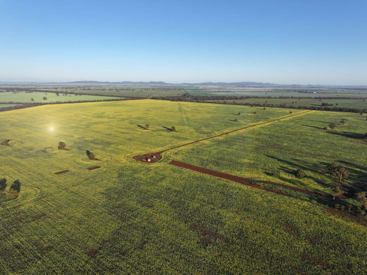 'Roseneath' 461 Begargo Rd, Lake Cargelligo For Sale by Farmbuy.com - image 5