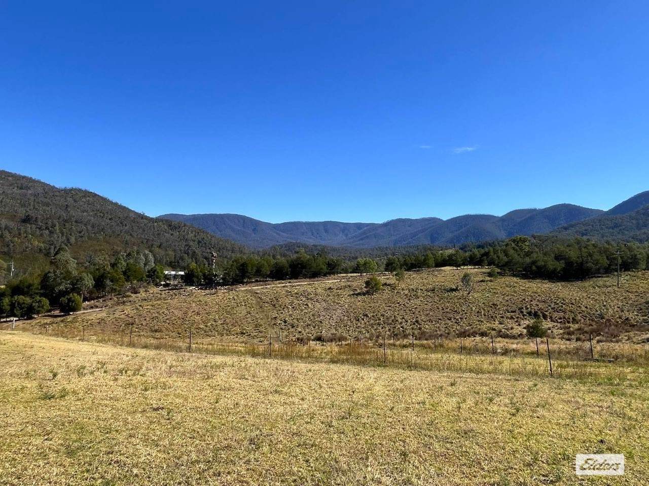 154 Moons Road, Bemboka For Sale by Farmbuy.com - image 8