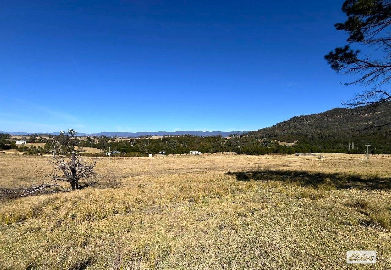 154 Moons Road, Bemboka For Sale by Farmbuy.com - image 4