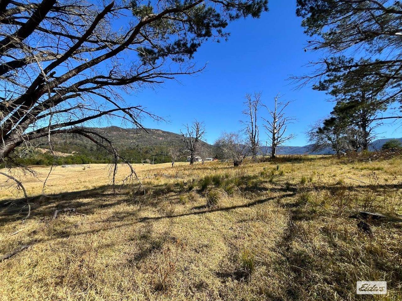 154 Moons Road, Bemboka For Sale by Farmbuy.com - image 11