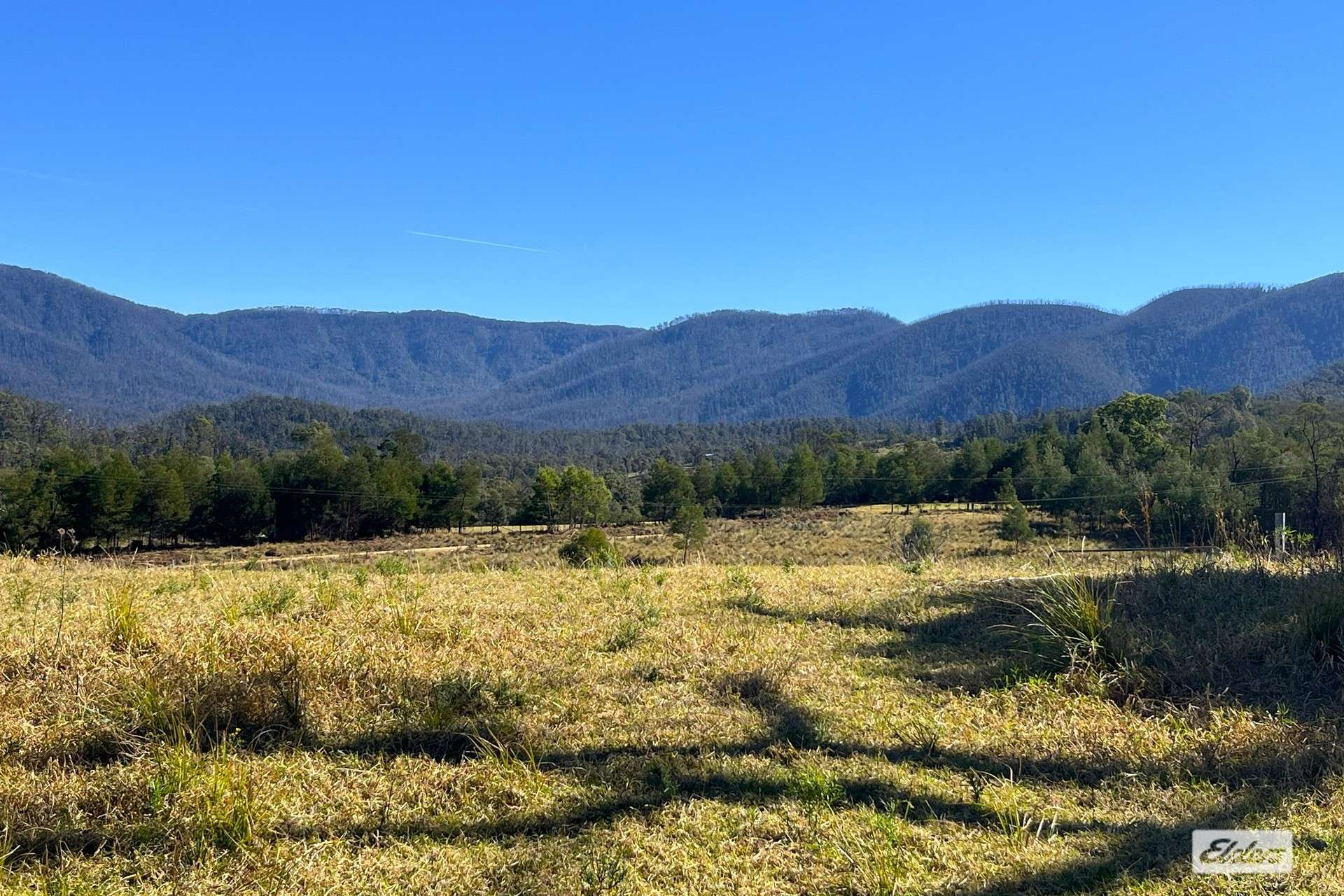 154 Moons Road, Bemboka For Sale by Farmbuy.com - image 10