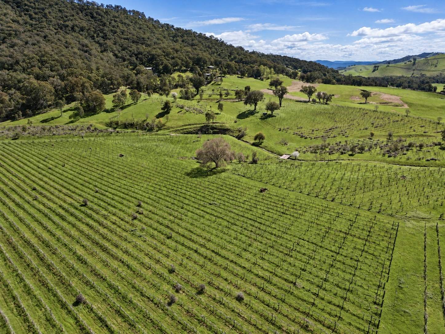 8792 Murray River Road, Walwa For Sale by Farmbuy.com - image 3