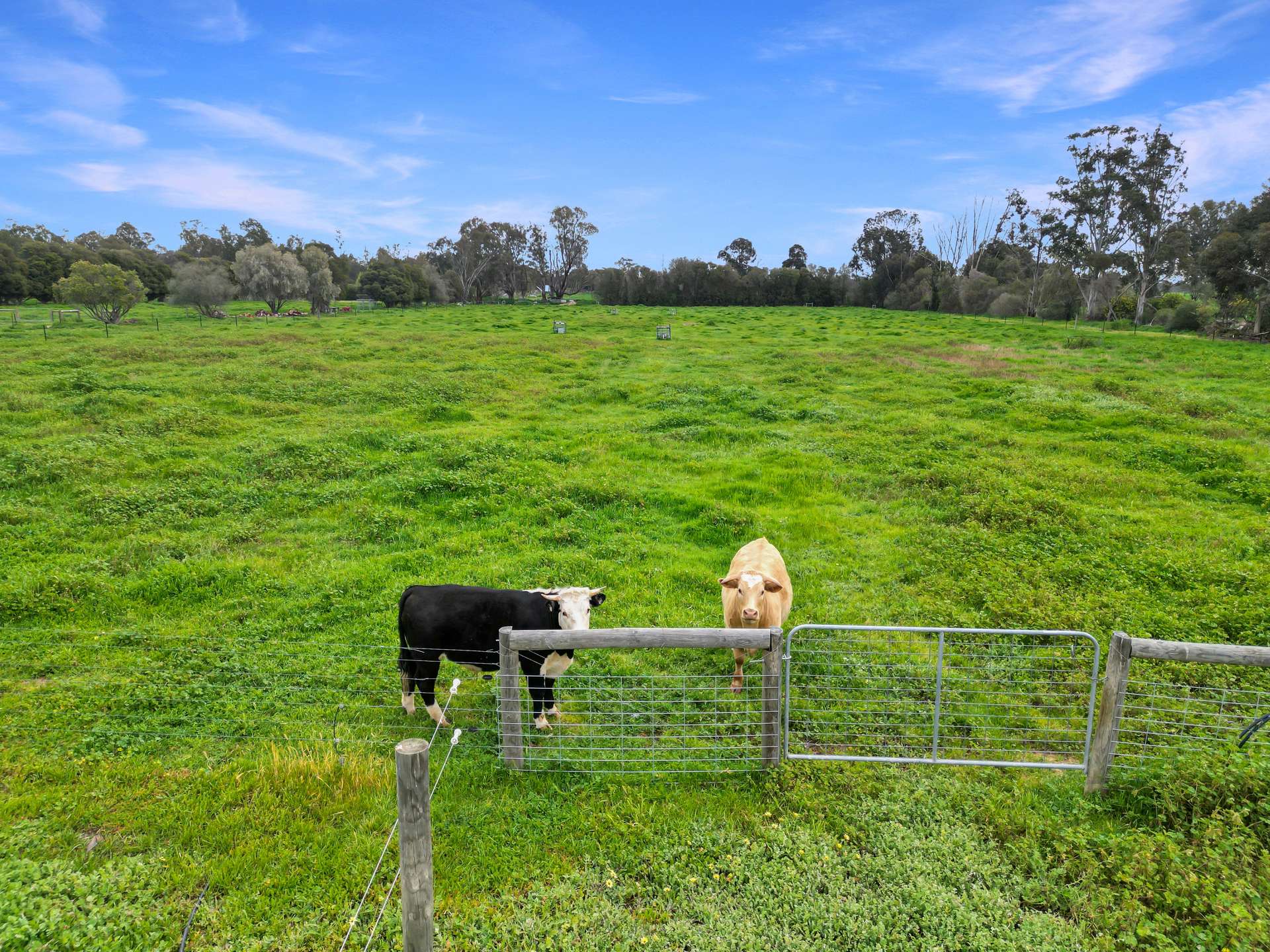 36 Kangan Road, Koonoomoo For Sale by Farmbuy.com - image 18