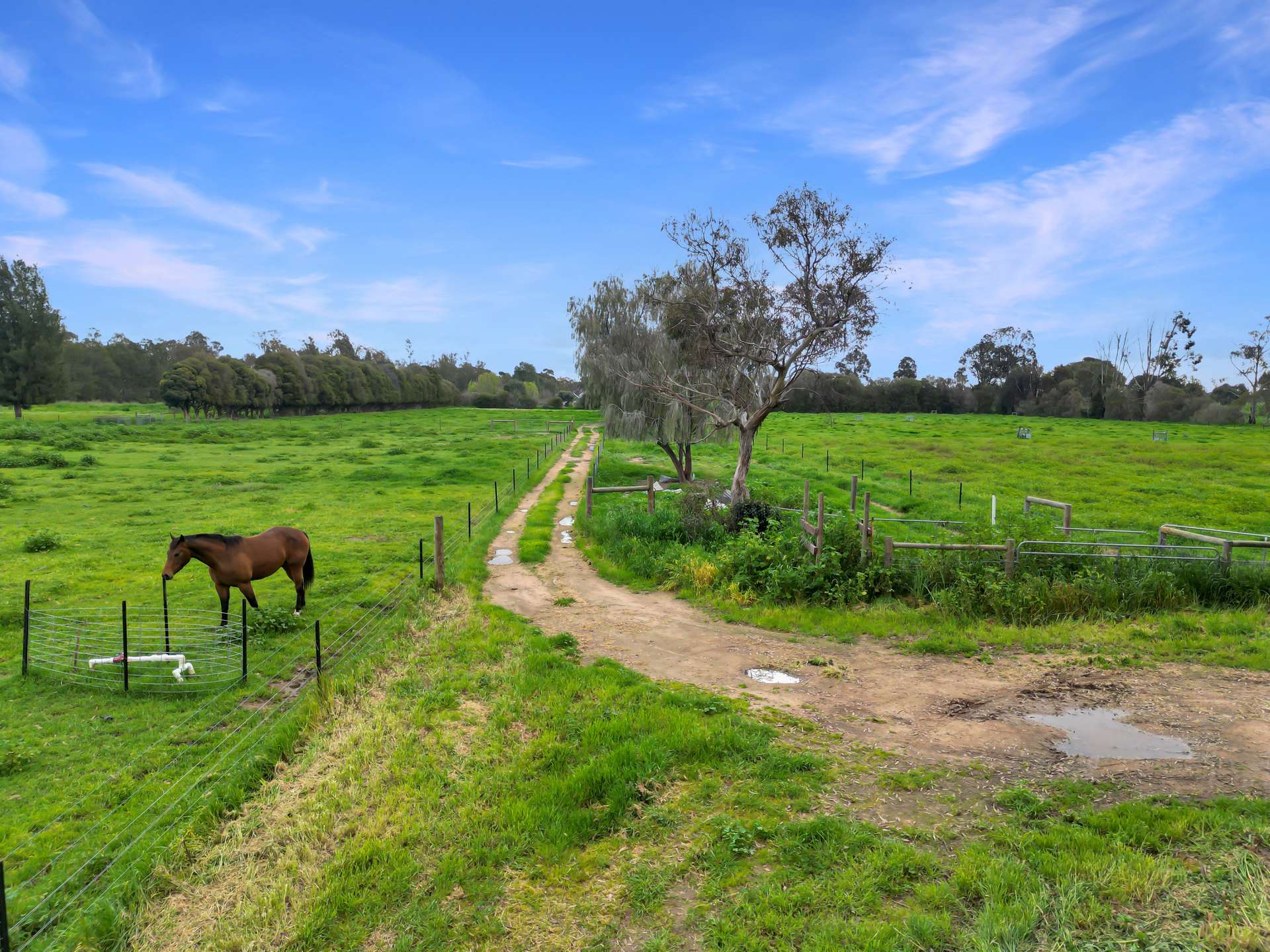 36 Kangan Road, Koonoomoo For Sale by Farmbuy.com - image 19