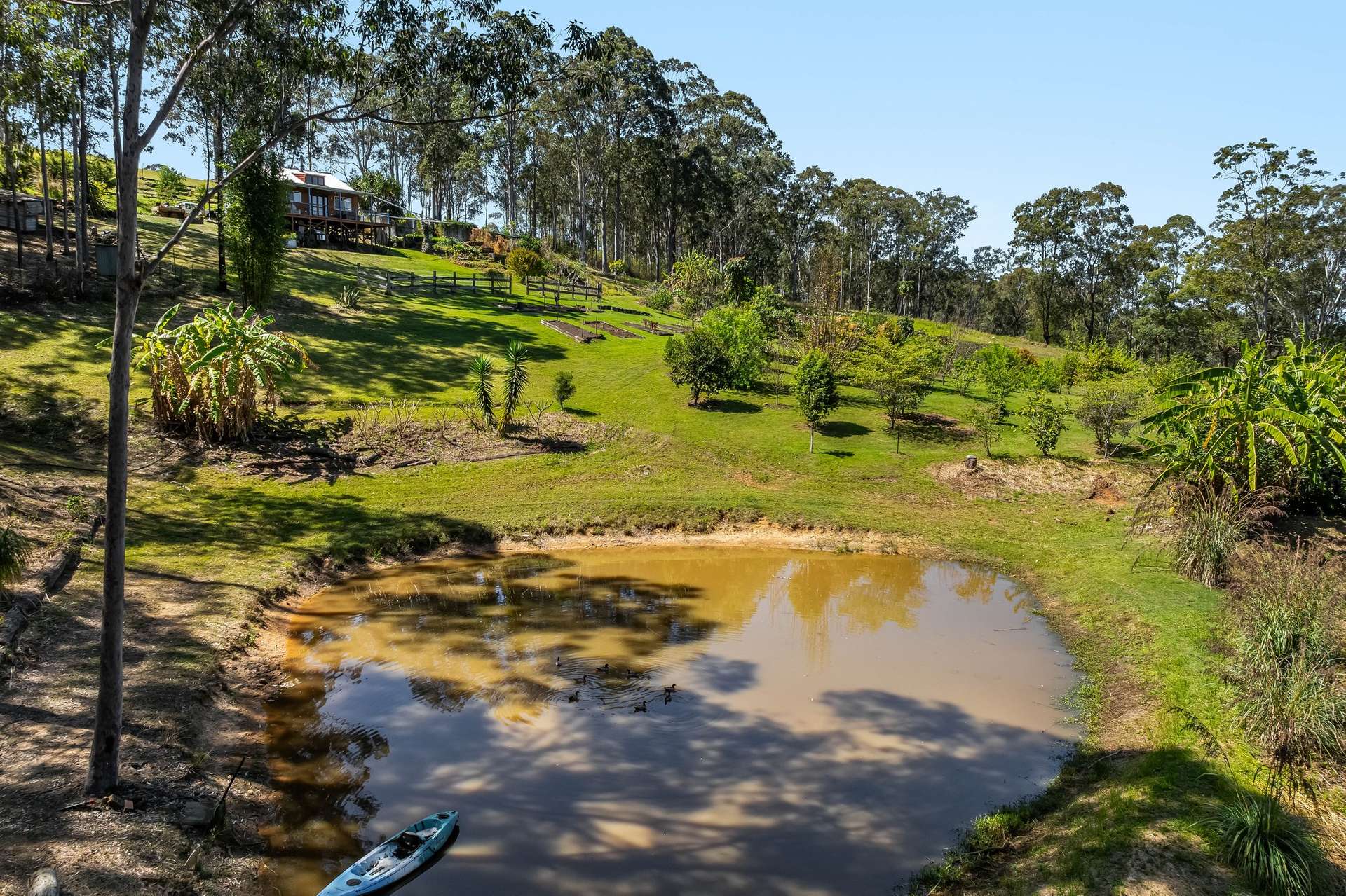 220 Lees Lane, Hogarth Range Auction by Farmbuy.com - image 32