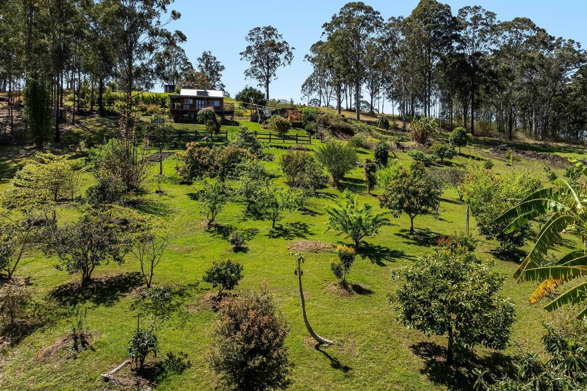 220 Lees Lane, Hogarth Range Auction by Farmbuy.com - image 34