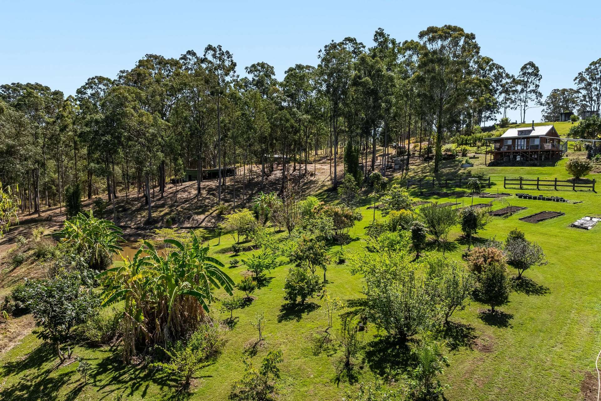 220 Lees Lane, Hogarth Range Auction by Farmbuy.com - image 29