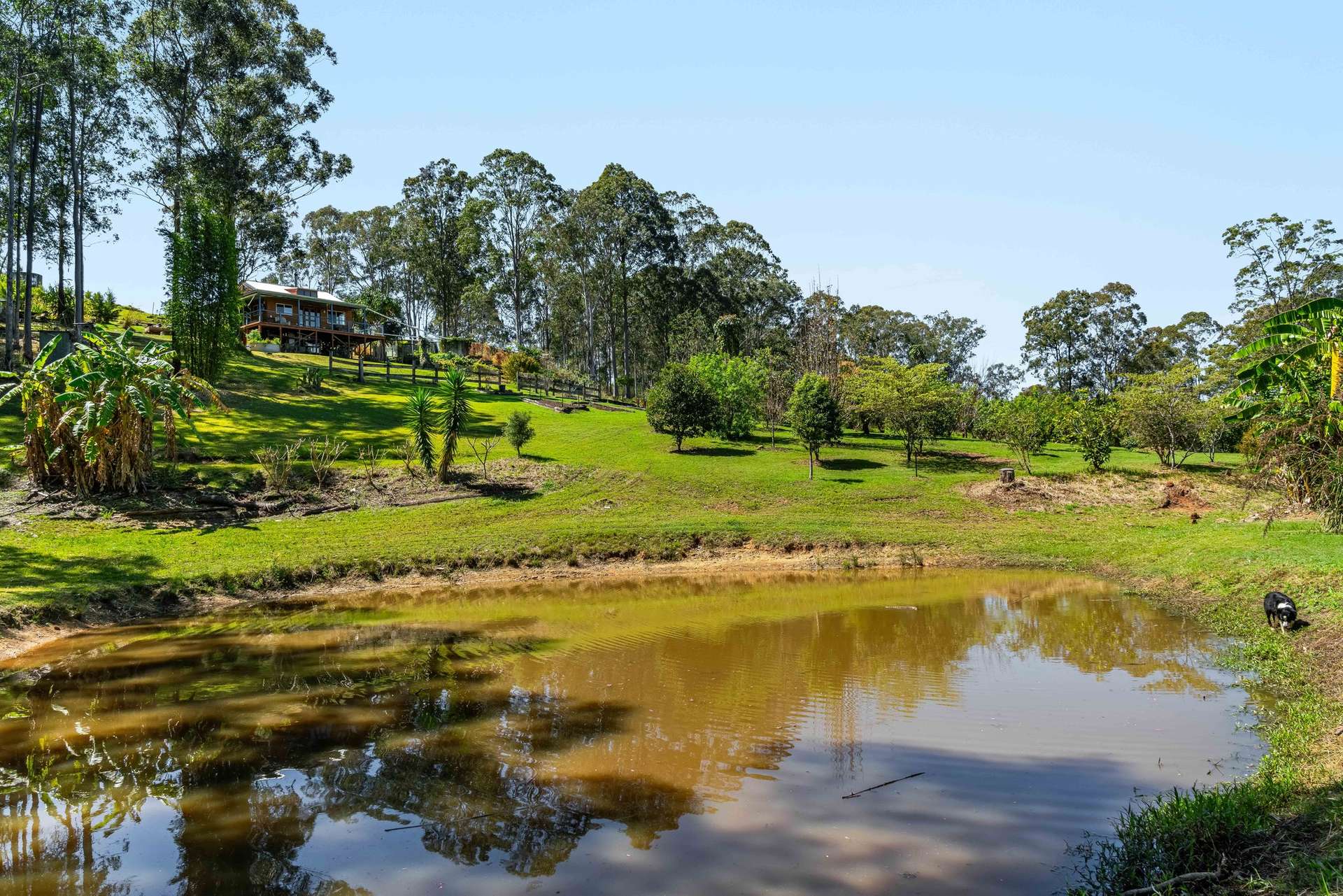 220 Lees Lane, Hogarth Range Auction by Farmbuy.com - image 24