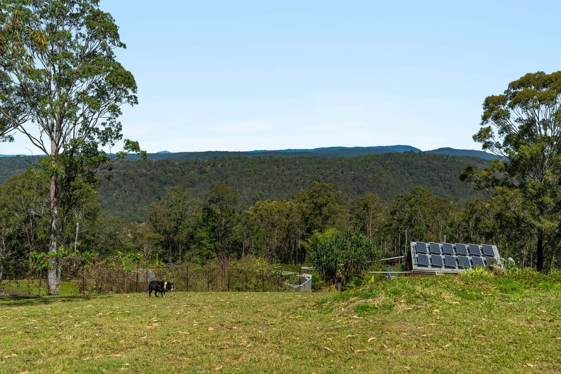220 Lees Lane, Hogarth Range Auction by Farmbuy.com - image 35