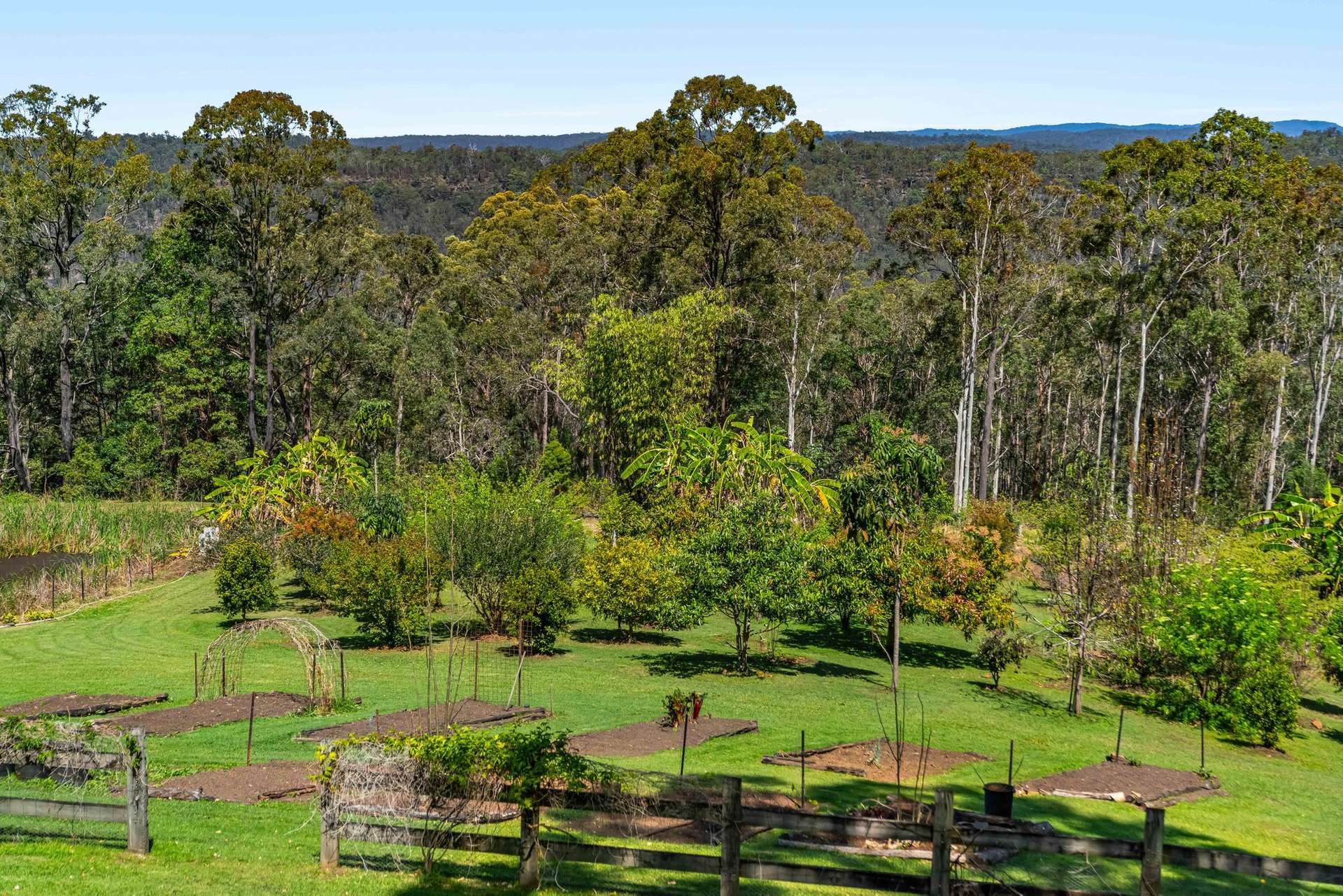 220 Lees Lane, Hogarth Range Auction by Farmbuy.com - image 27