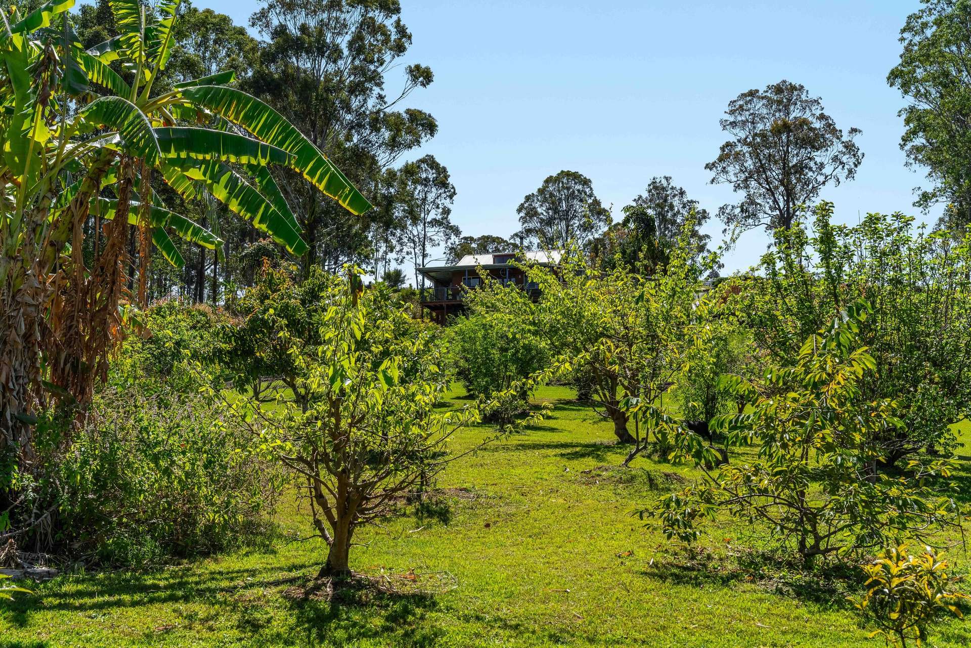 220 Lees Lane, Hogarth Range Auction by Farmbuy.com - image 28