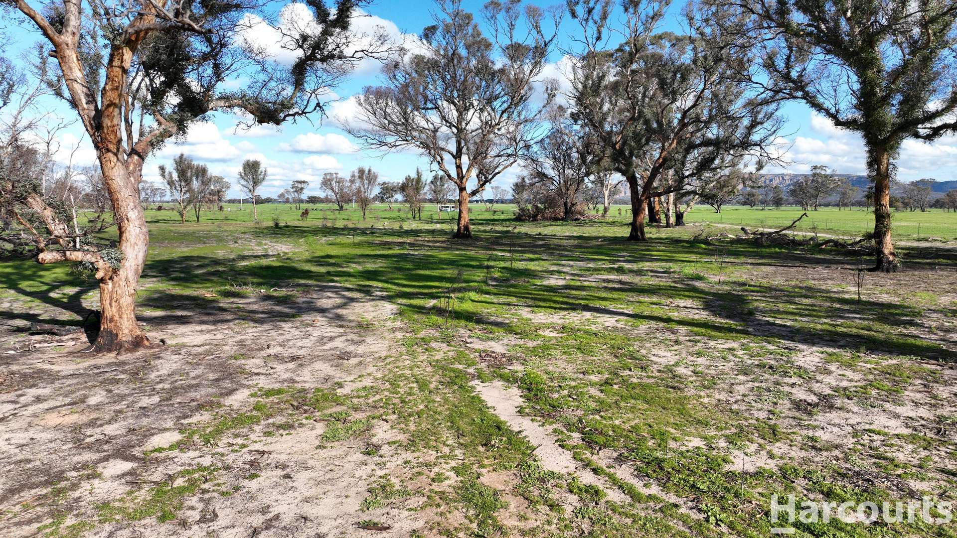 126 B Hateleys Road, Arapiles For Sale by Farmbuy.com - image 8