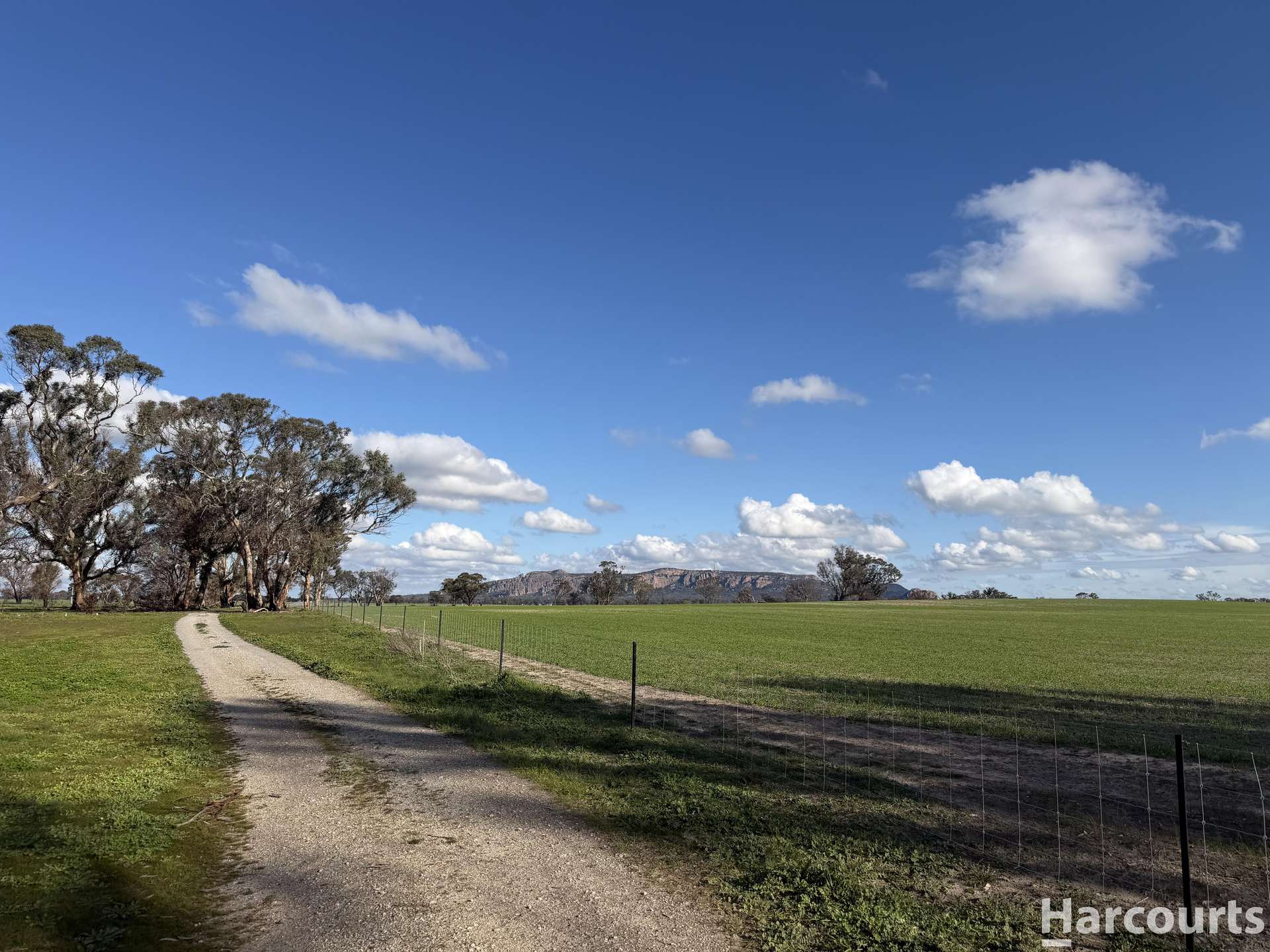 126 B Hateleys Road, Arapiles For Sale by Farmbuy.com - image 2
