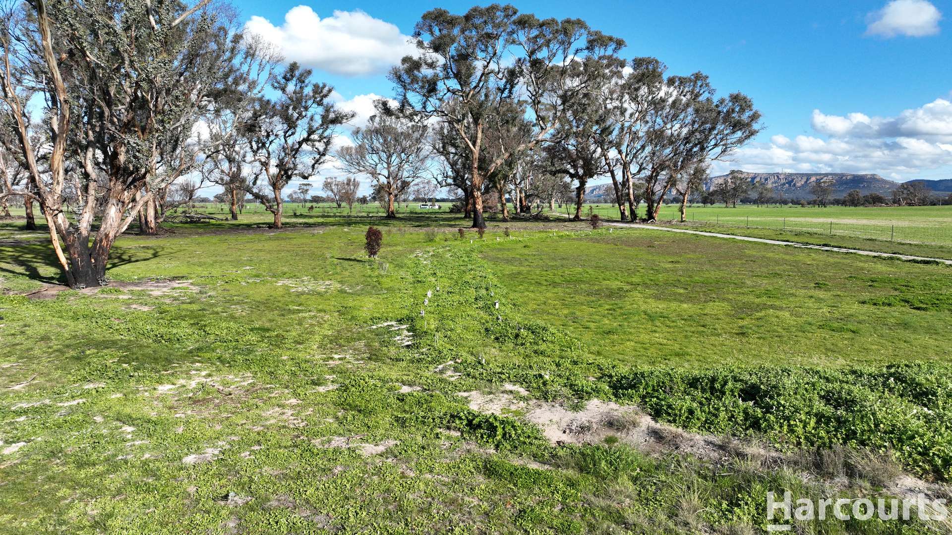 126 B Hateleys Road, Arapiles For Sale by Farmbuy.com - image 7