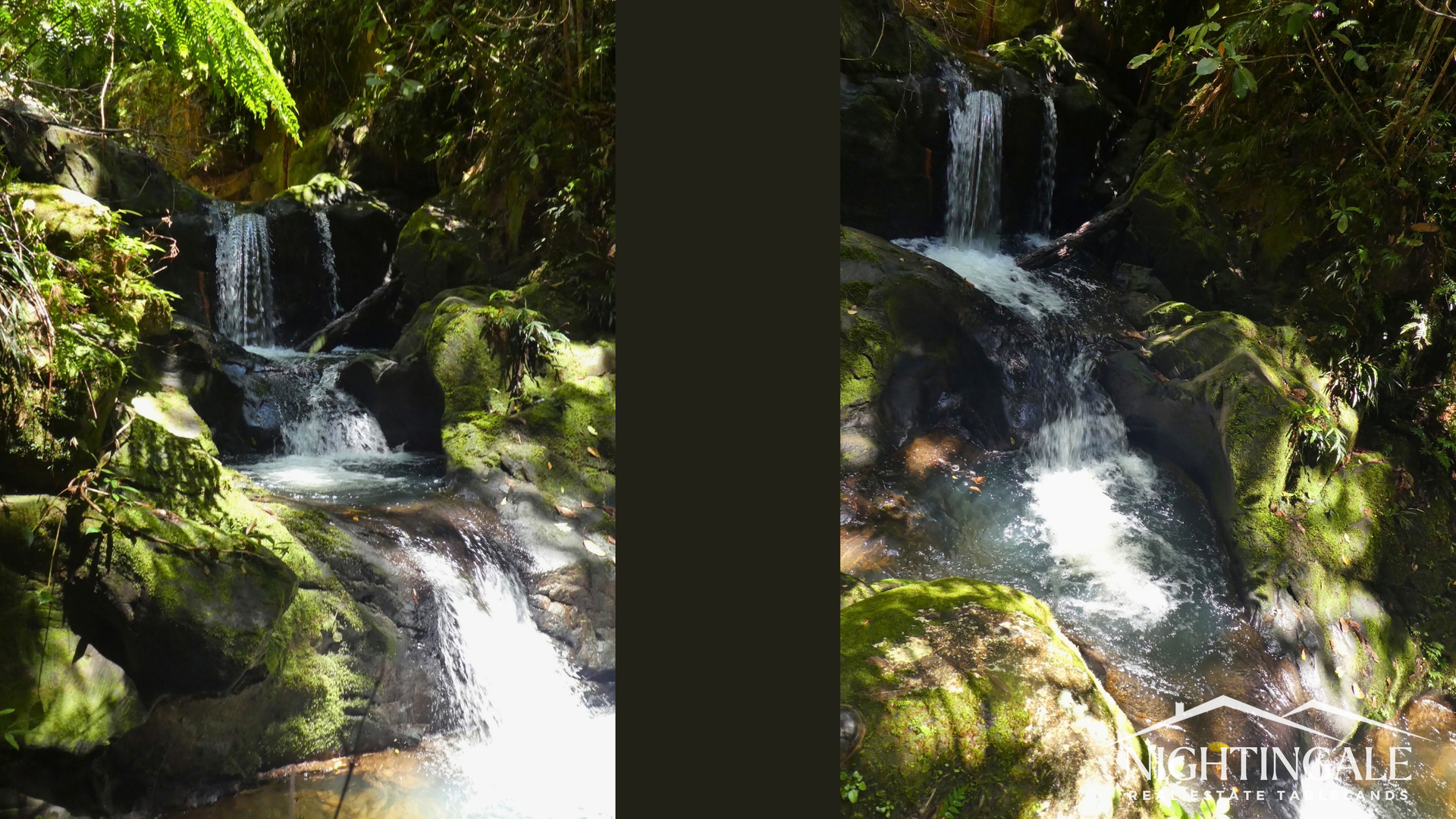 499 Old Cairns Track, Butchers Creek For Sale by Farmbuy.com - image 35