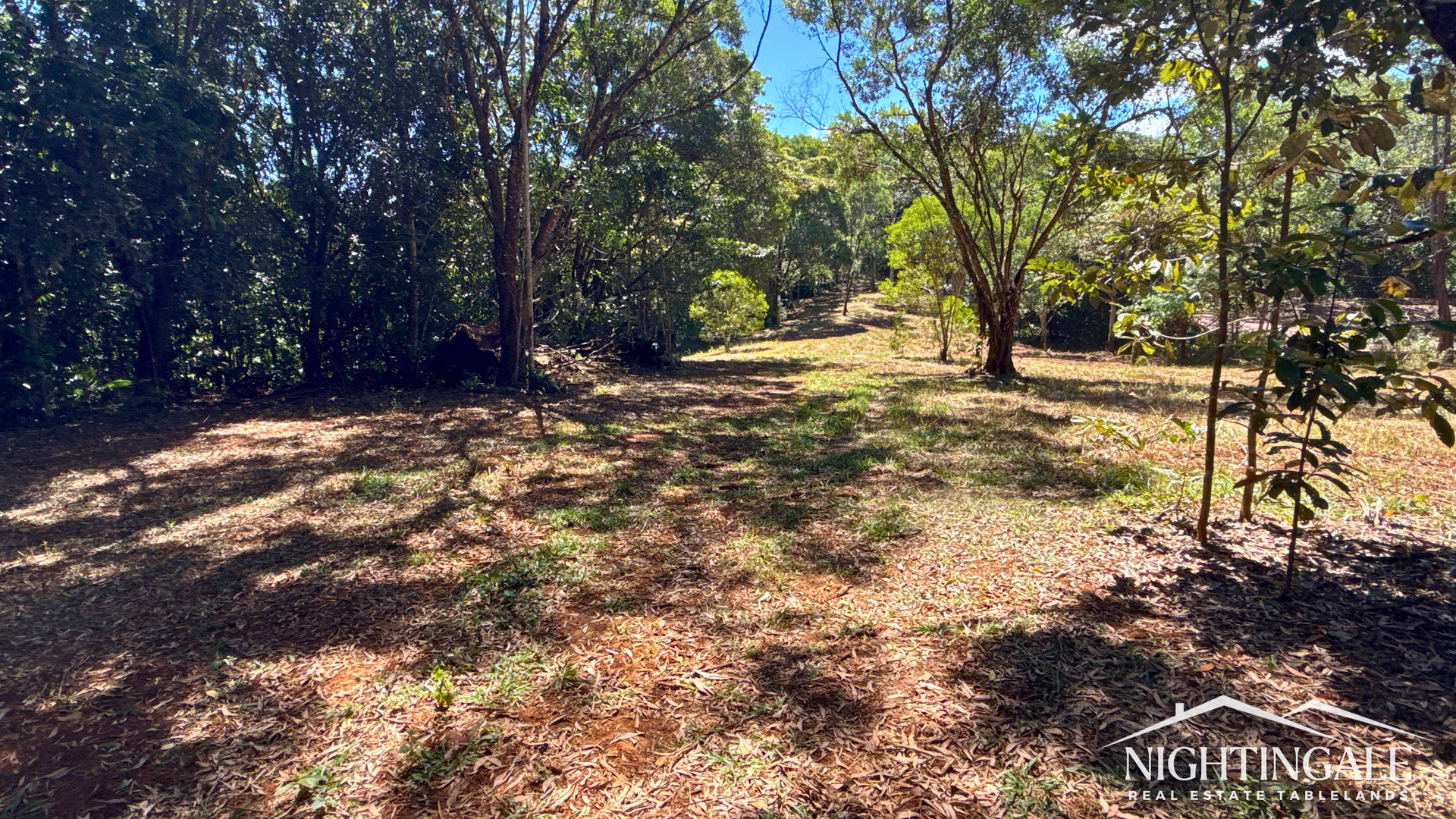 499 Old Cairns Track, Butchers Creek For Sale by Farmbuy.com - image 13