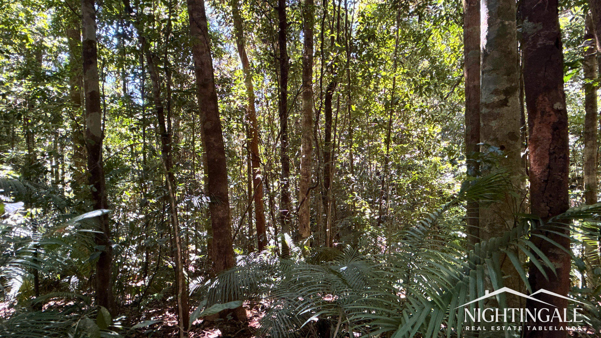 499 Old Cairns Track, Butchers Creek For Sale by Farmbuy.com - image 8
