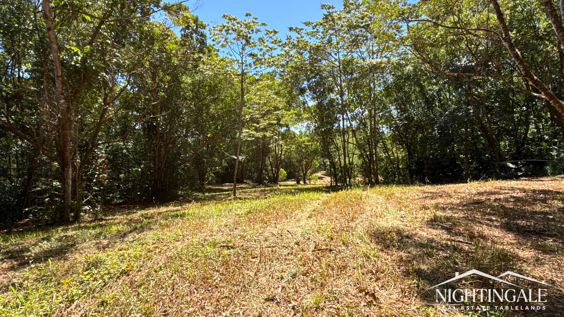 499 Old Cairns Track, Butchers Creek For Sale by Farmbuy.com - image 15
