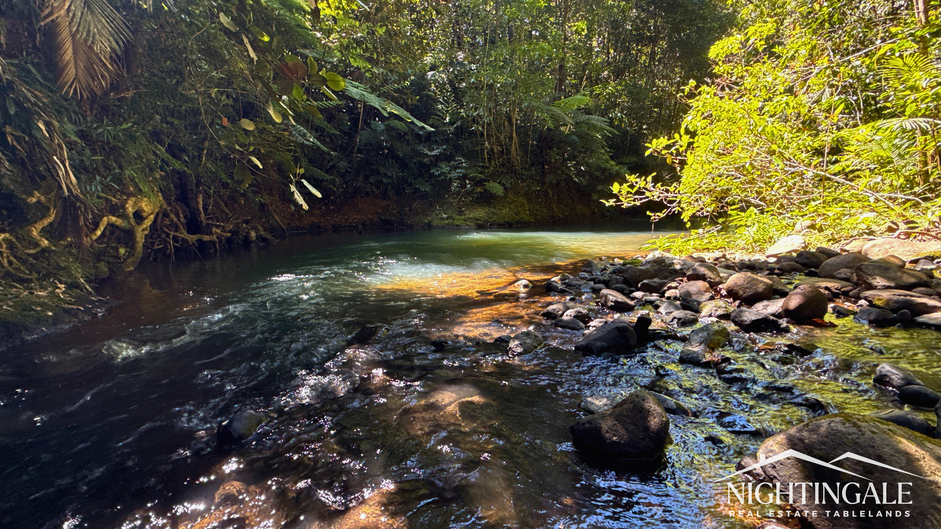 499 Old Cairns Track, Butchers Creek For Sale by Farmbuy.com - image 4
