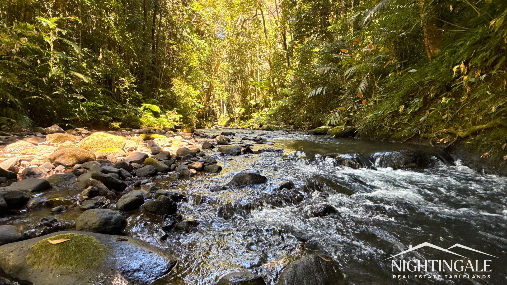 499 Old Cairns Track, Butchers Creek For Sale by Farmbuy.com - image 1