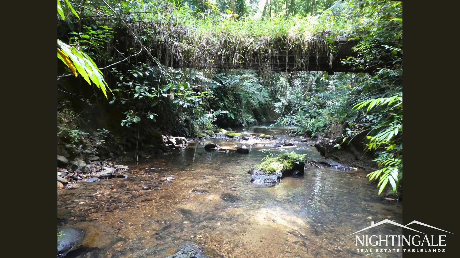 499 Old Cairns Track, Butchers Creek For Sale by Farmbuy.com - image 34