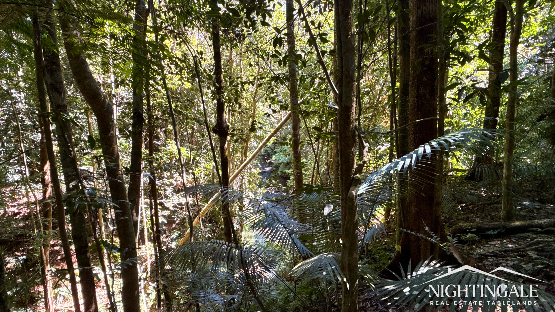 499 Old Cairns Track, Butchers Creek For Sale by Farmbuy.com - image 7