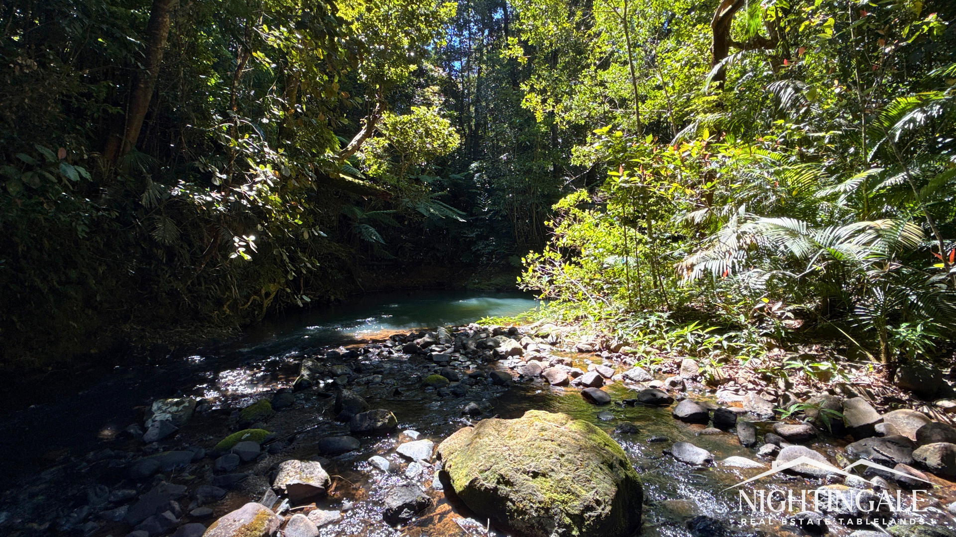 499 Old Cairns Track, Butchers Creek For Sale by Farmbuy.com - image 5