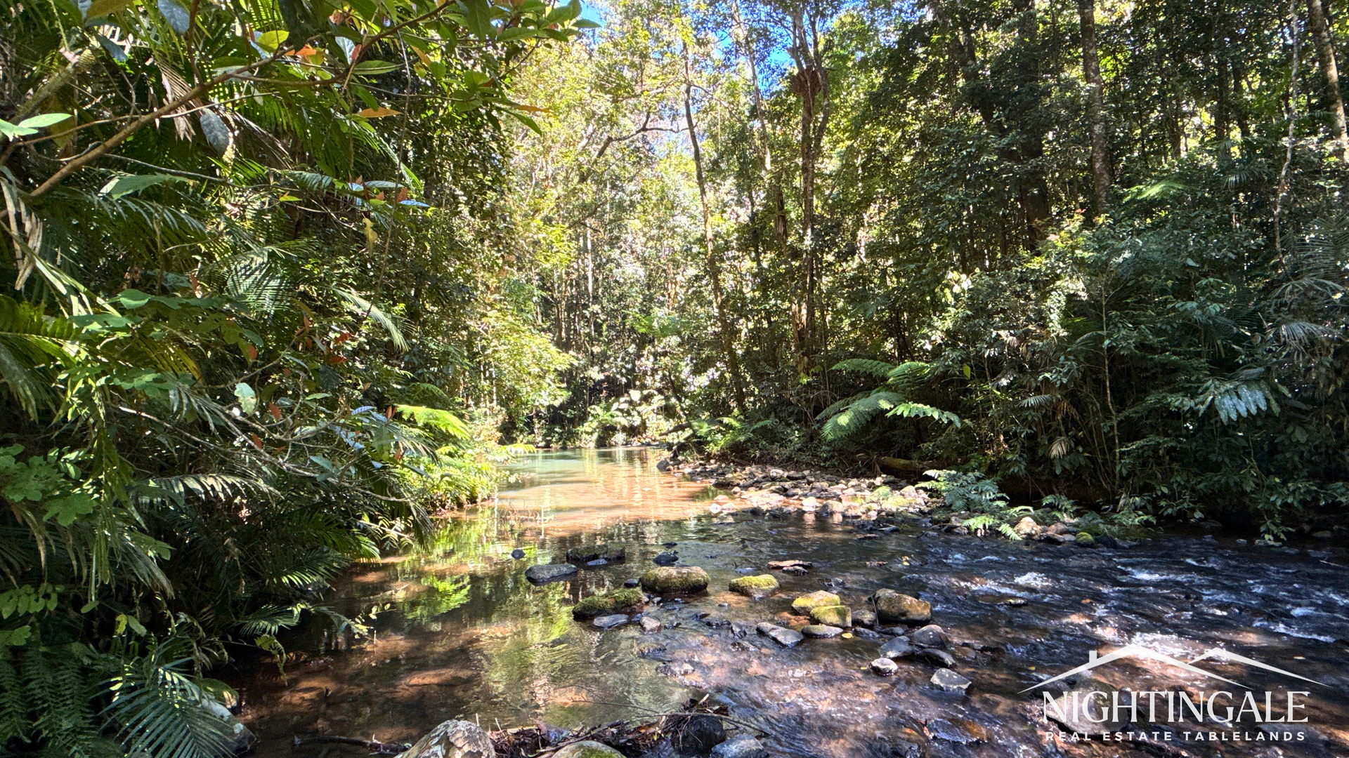 499 Old Cairns Track, Butchers Creek For Sale by Farmbuy.com - image 3