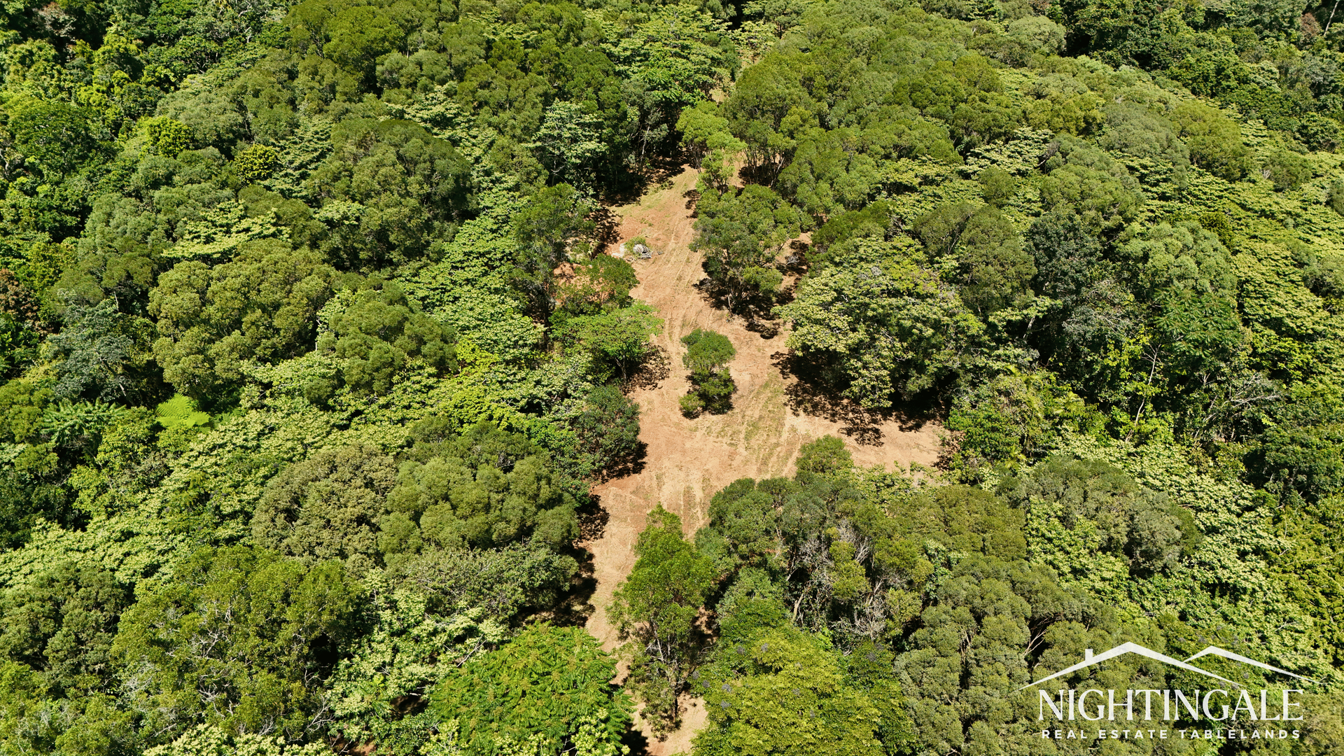 499 Old Cairns Track, Butchers Creek For Sale by Farmbuy.com - image 11
