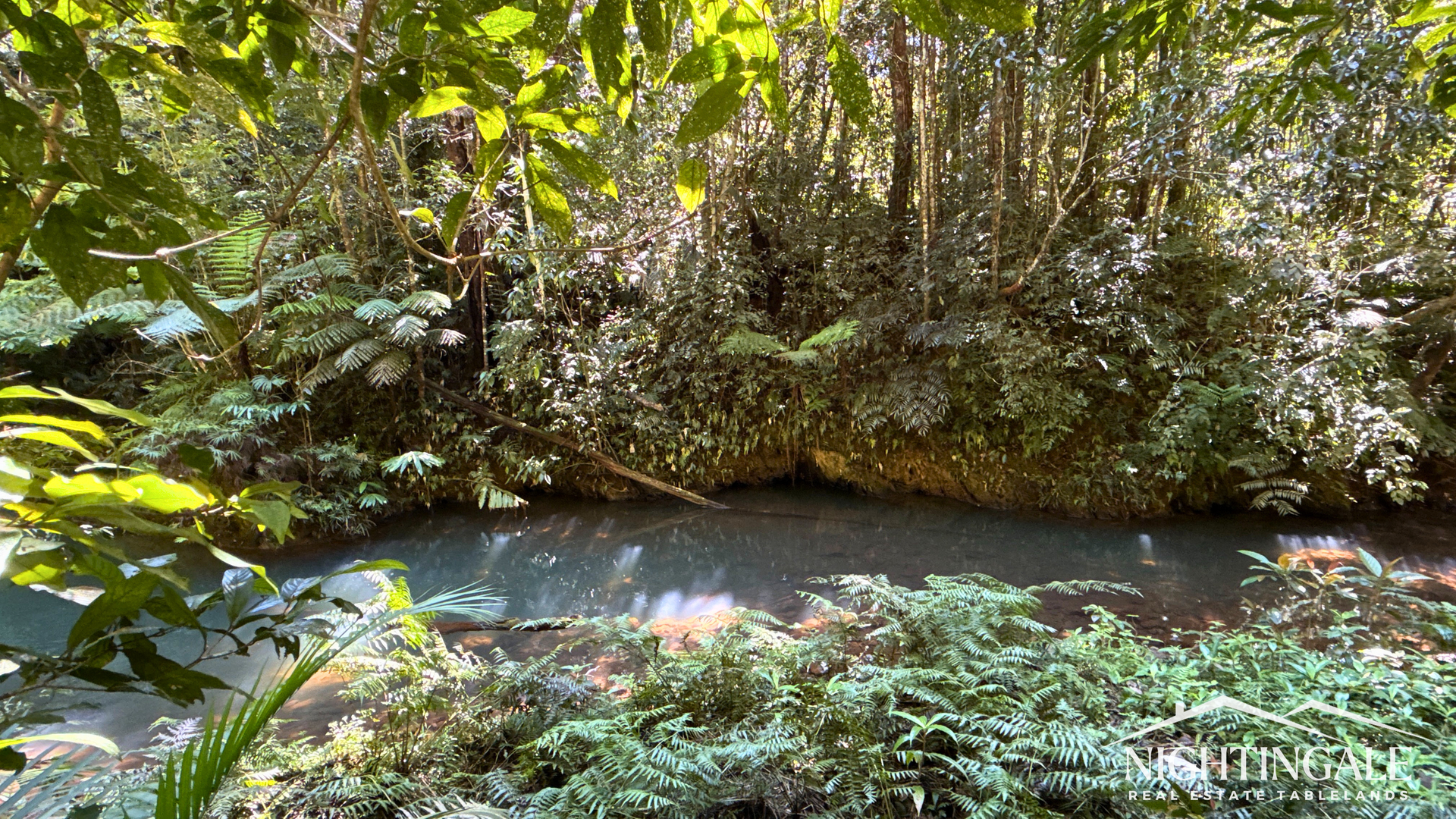 499 Old Cairns Track, Butchers Creek For Sale by Farmbuy.com - image 6