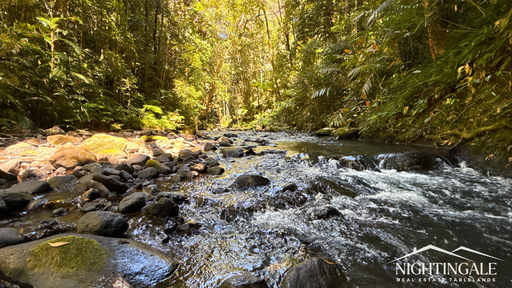 Farm For Sale - QLD - Butchers Creek - 4885 - 200 acres I Permanent Creeks I Privacy 