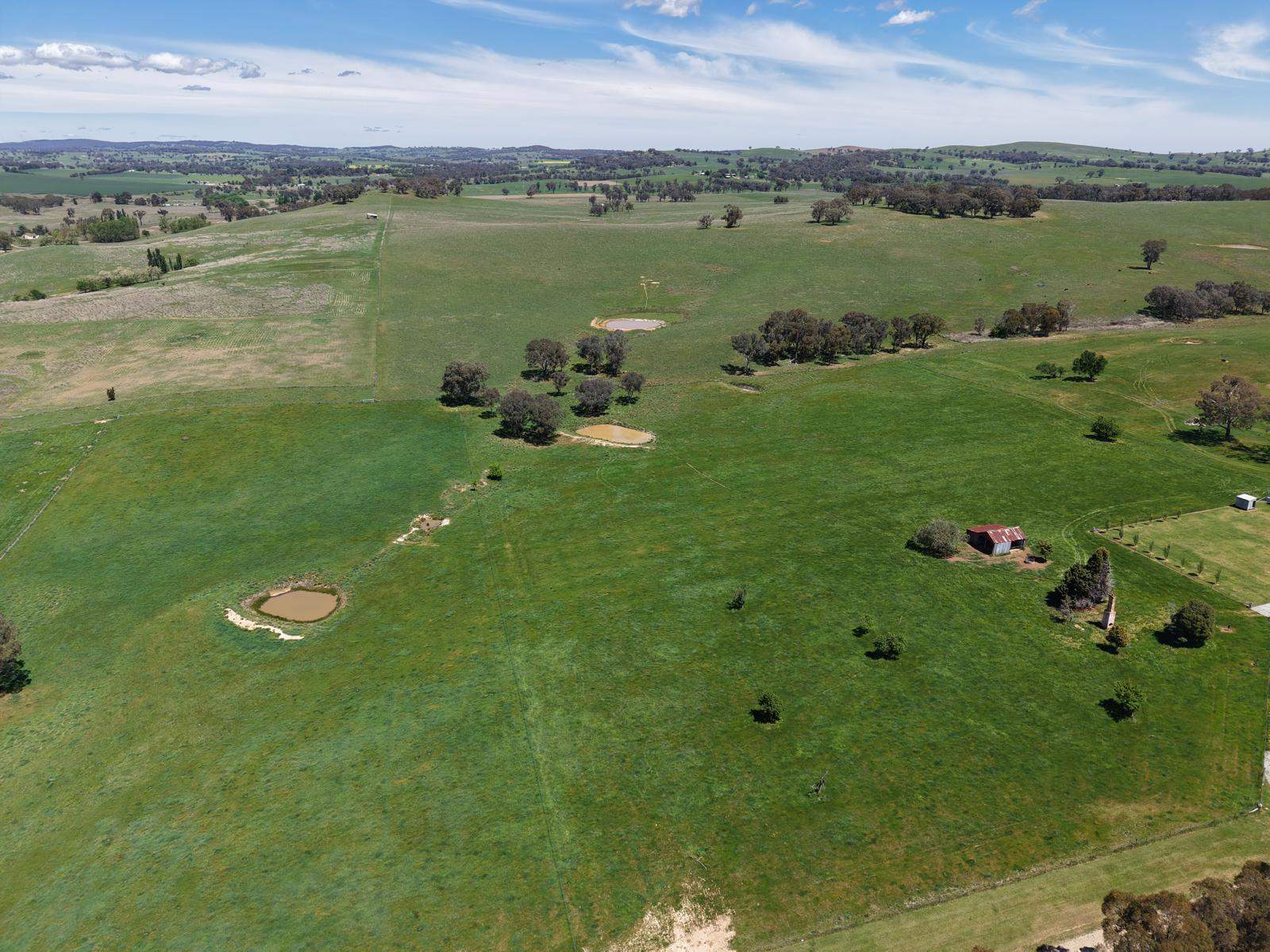5 Burke Street, Lyndhurst For Sale by Farmbuy.com - image 4
