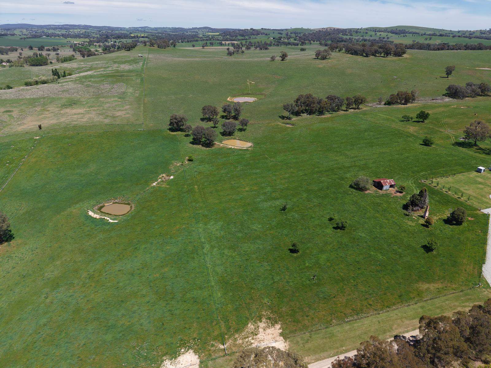 5 Burke Street, Lyndhurst For Sale by Farmbuy.com - image 3