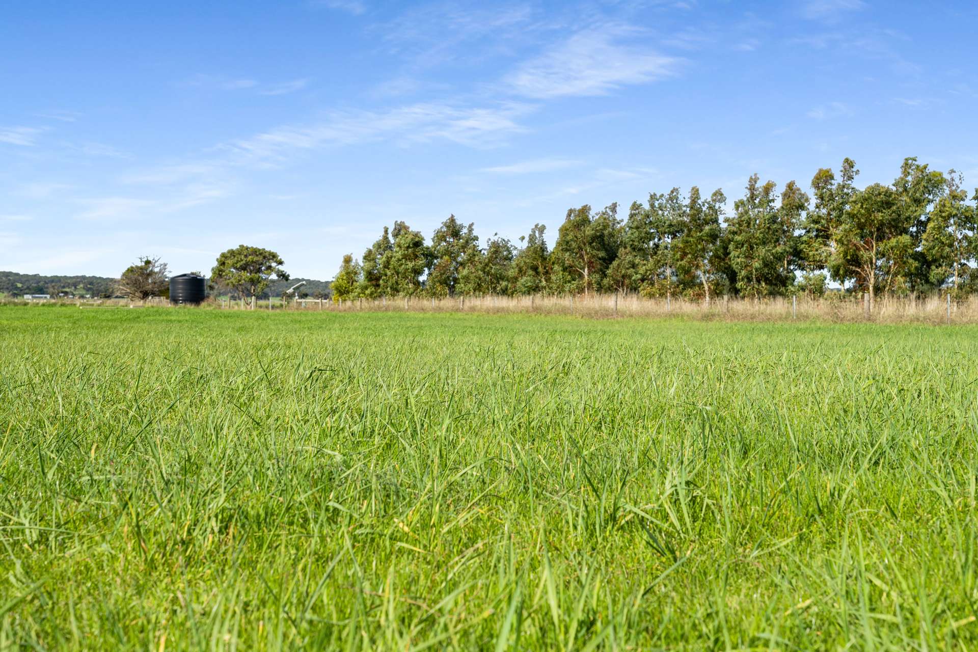 4711 Southern Ports Highway, Robe For Sale by Farmbuy.com - image 5