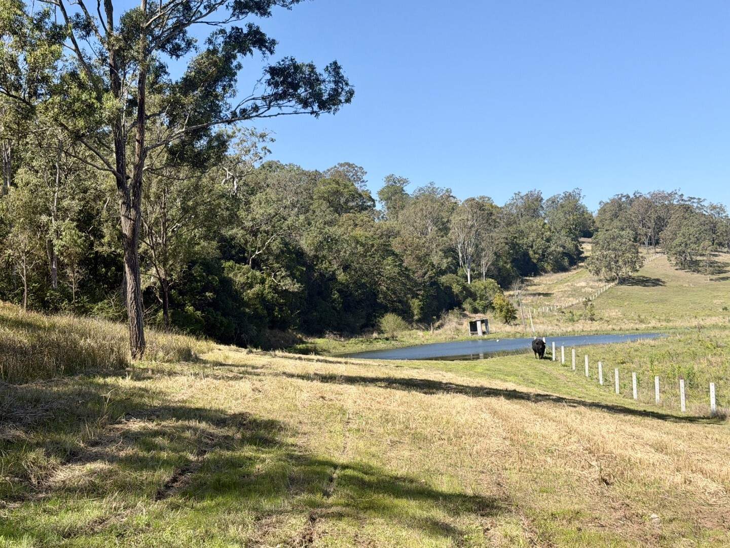245 Upper Stratheden Road, Kyogle For Sale by Farmbuy.com - image 31