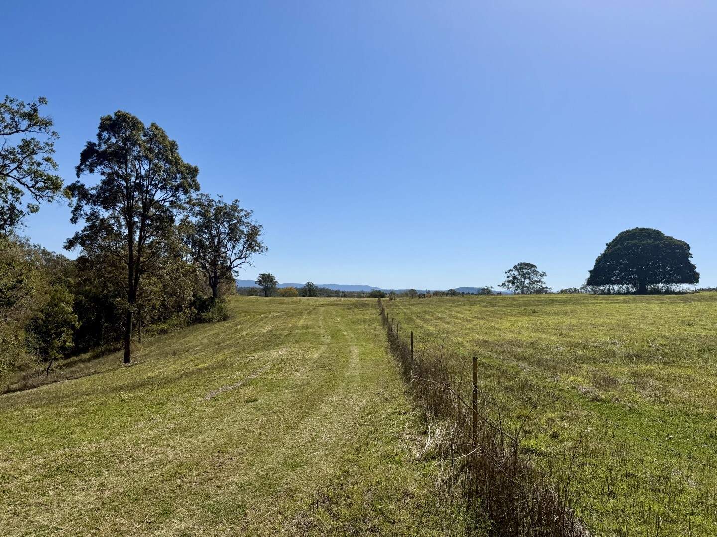 245 Upper Stratheden Road, Kyogle For Sale by Farmbuy.com - image 30