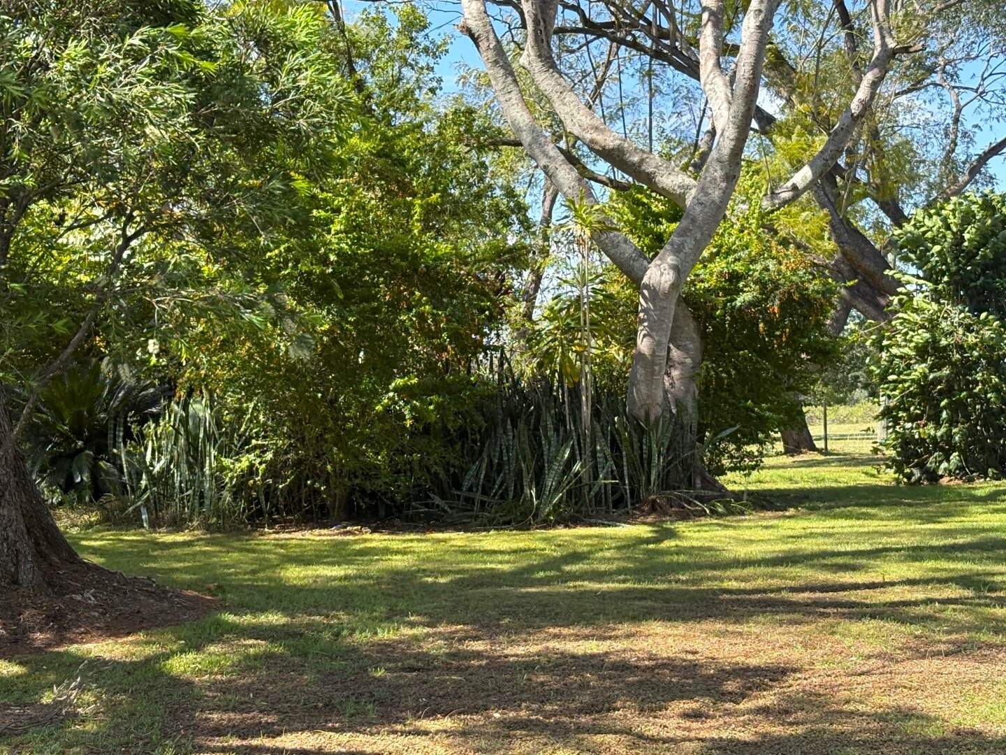 245 Upper Stratheden Road, Kyogle For Sale by Farmbuy.com - image 28