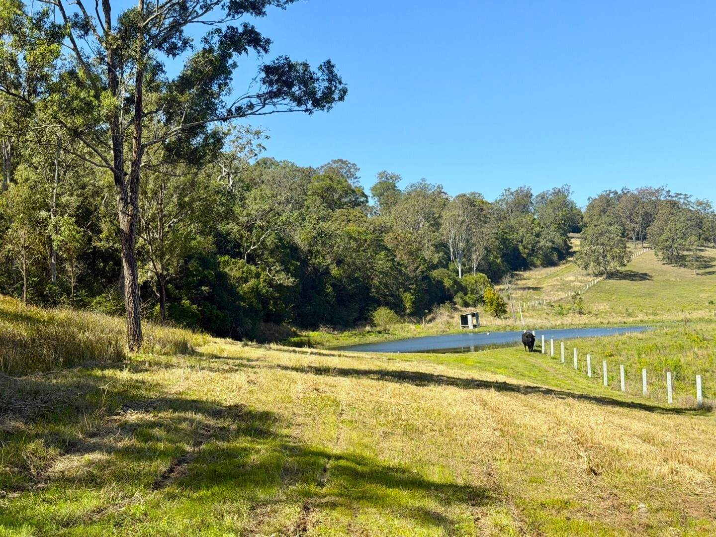 245 Upper Stratheden Road, Kyogle For Sale by Farmbuy.com - image 33
