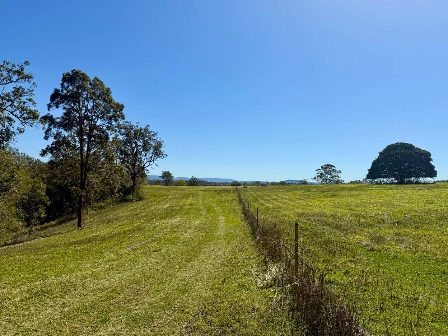 245 Upper Stratheden Road, Kyogle For Sale by Farmbuy.com - image 32