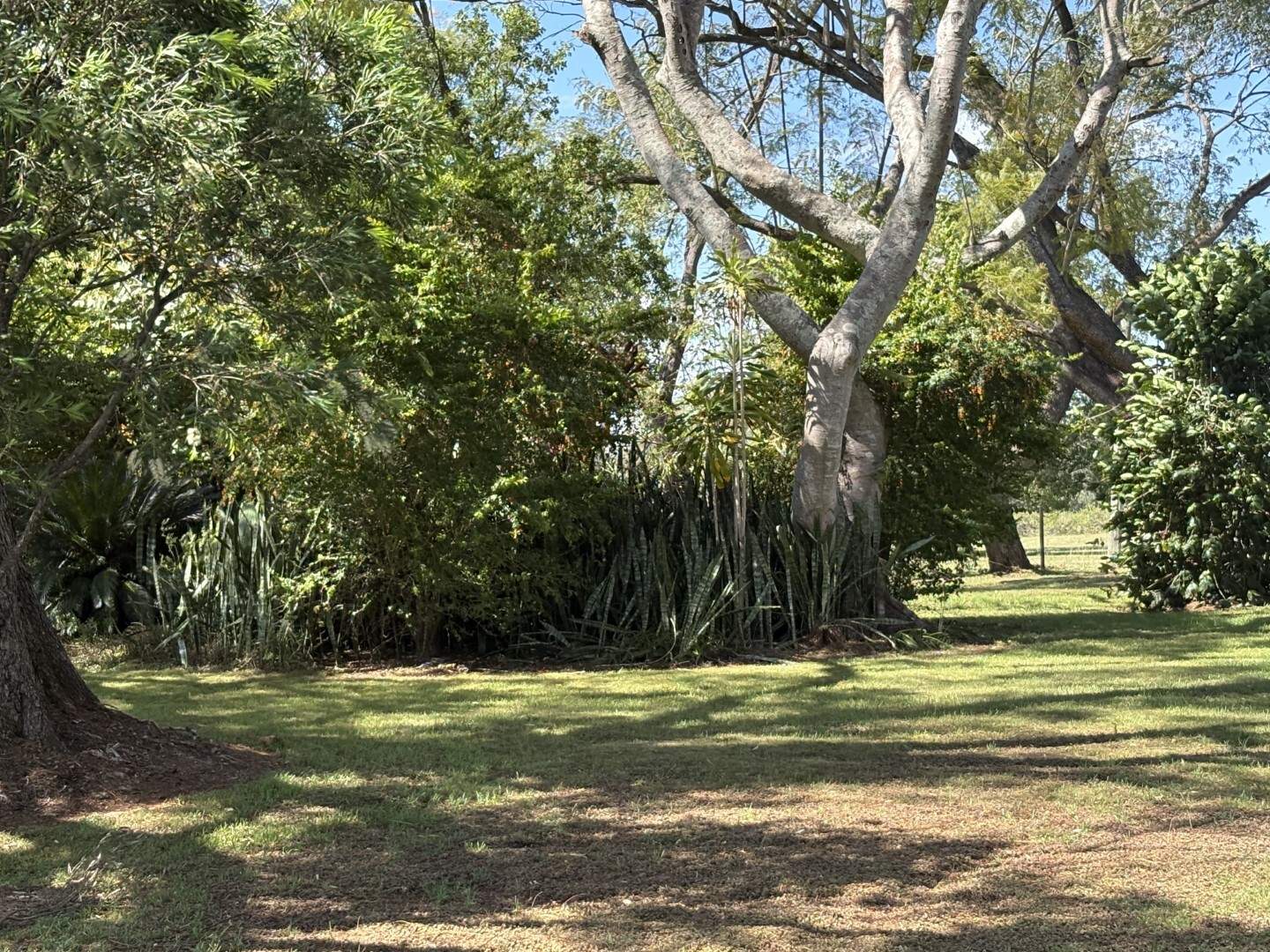 245 Upper Stratheden Road, Kyogle For Sale by Farmbuy.com - image 26