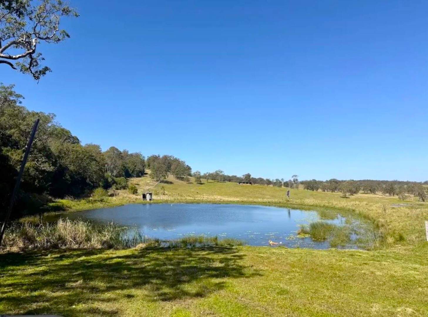 245 Upper Stratheden Road, Kyogle For Sale by Farmbuy.com - image 34