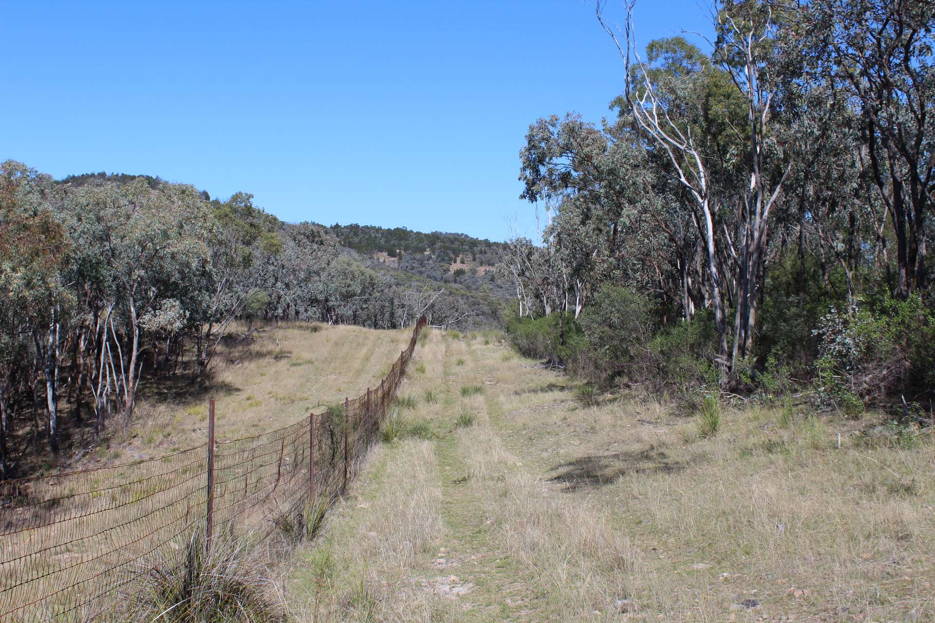 Lot 231 Jibbinbar Road, Springdale For Sale by Farmbuy.com - image 19