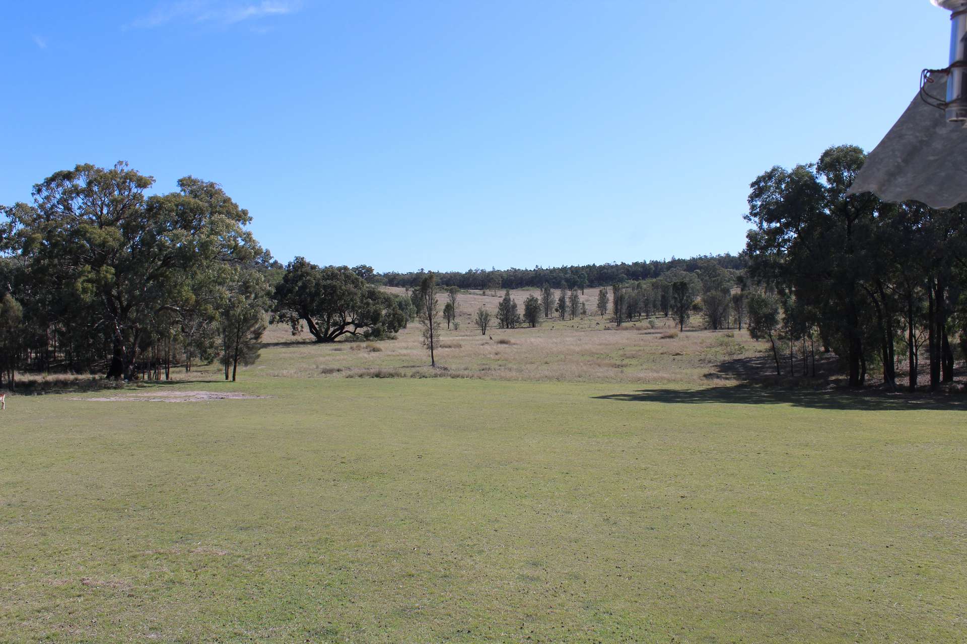 Lot 231 Jibbinbar Road, Springdale For Sale by Farmbuy.com - image 15