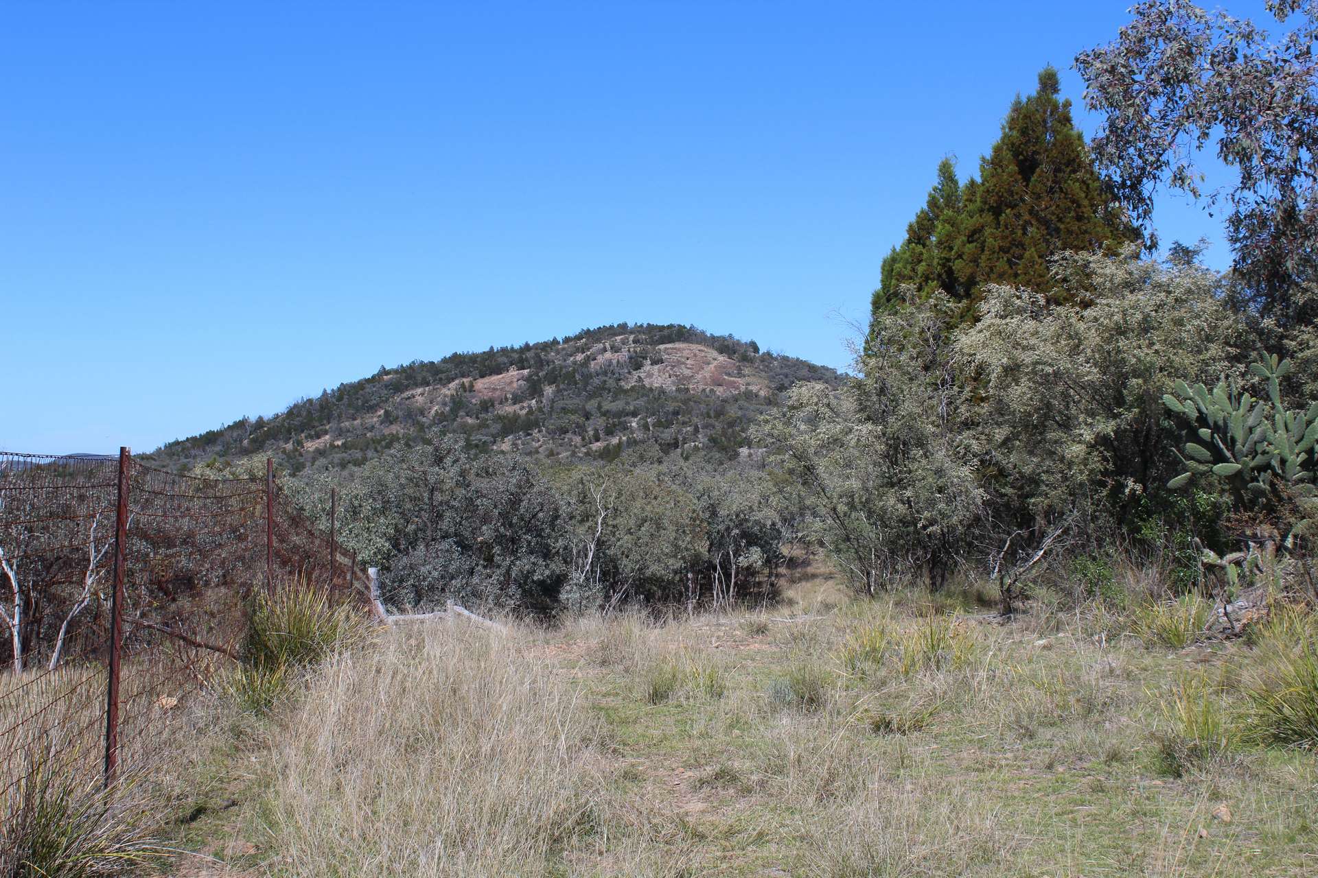 Lot 231 Jibbinbar Road, Springdale For Sale by Farmbuy.com - image 20