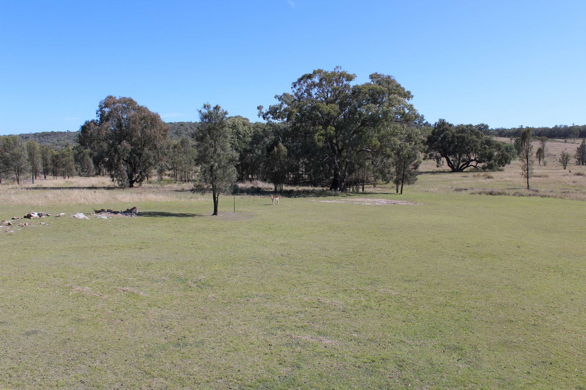 Lot 231 Jibbinbar Road, Springdale For Sale by Farmbuy.com - image 13