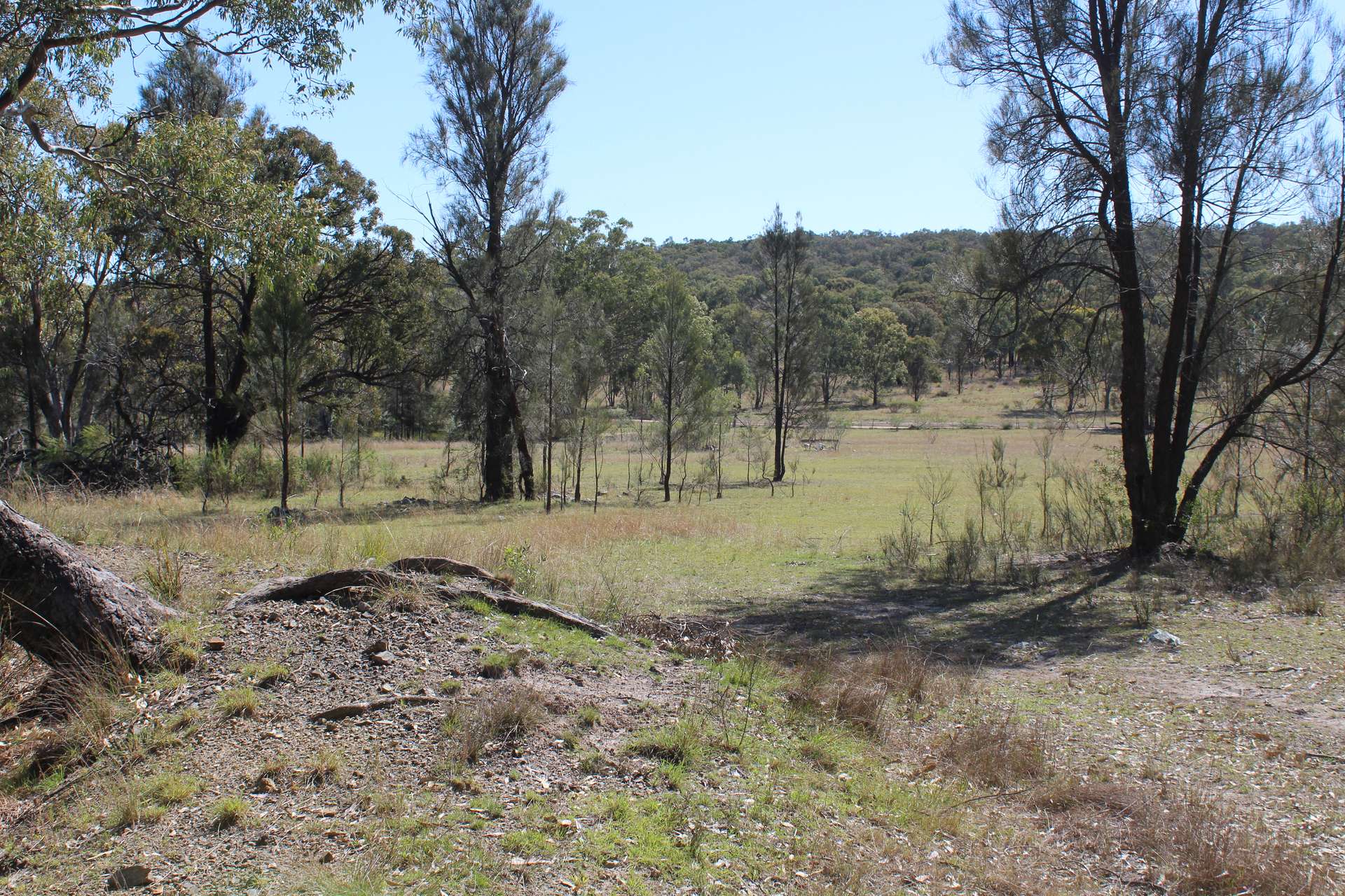 Lot 231 Jibbinbar Road, Springdale For Sale by Farmbuy.com - image 18