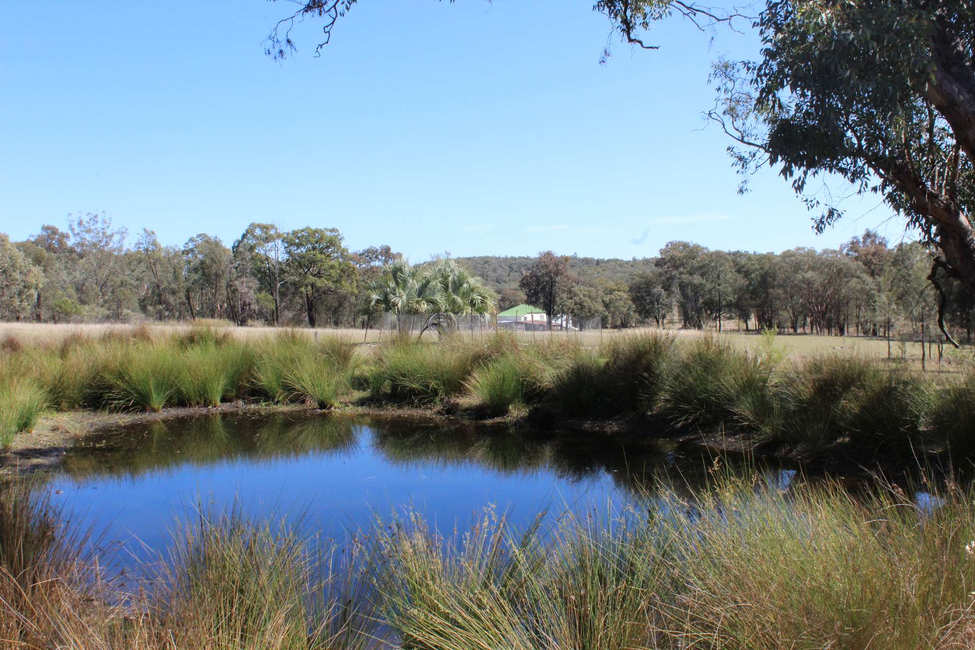 Lot 231 Jibbinbar Road, Springdale For Sale by Farmbuy.com - image 10