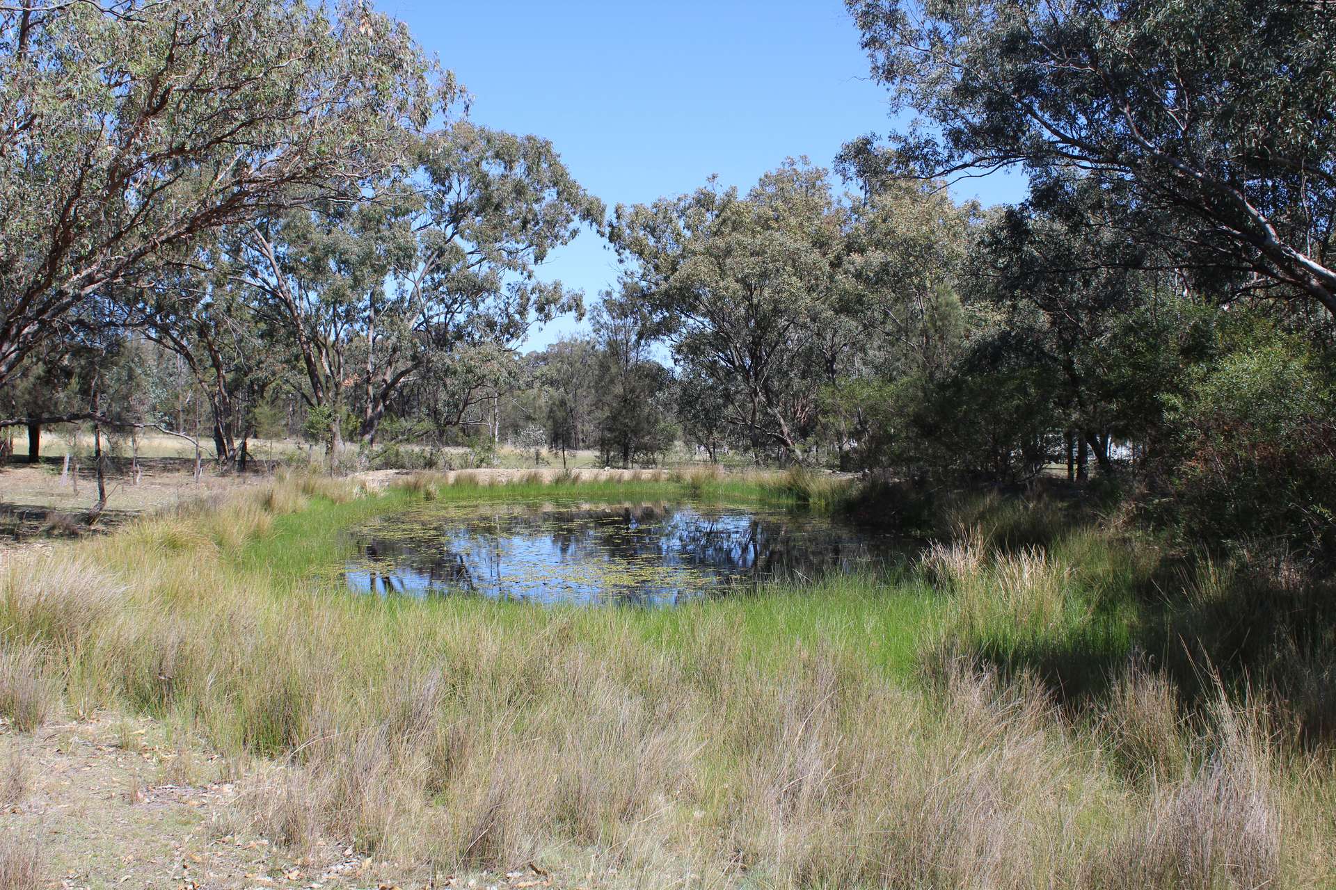 Lot 231 Jibbinbar Road, Springdale For Sale by Farmbuy.com - image 16