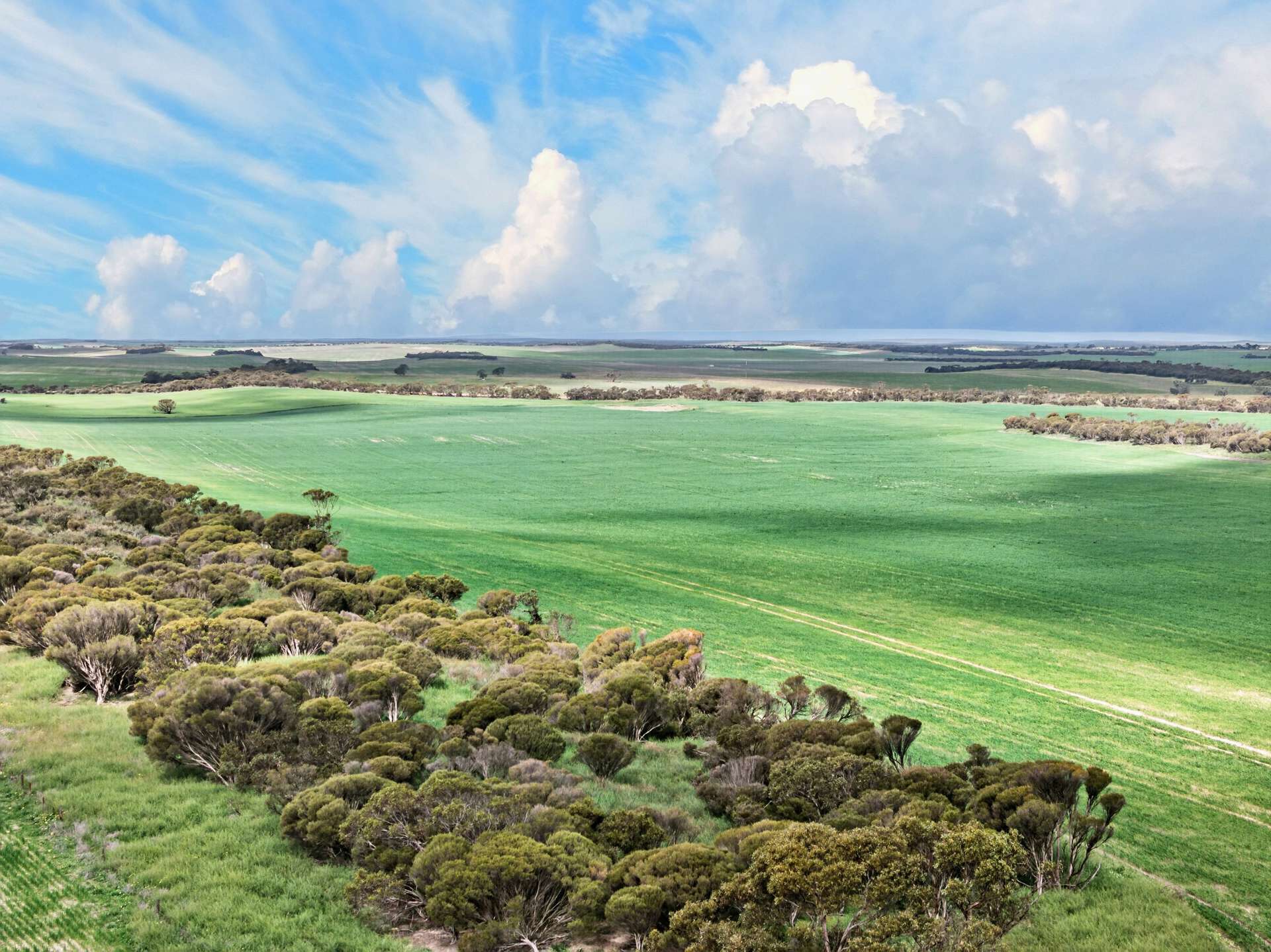 'Mungala' Murdinga-Murlong Road, Murlong For Sale by Farmbuy.com - image 8