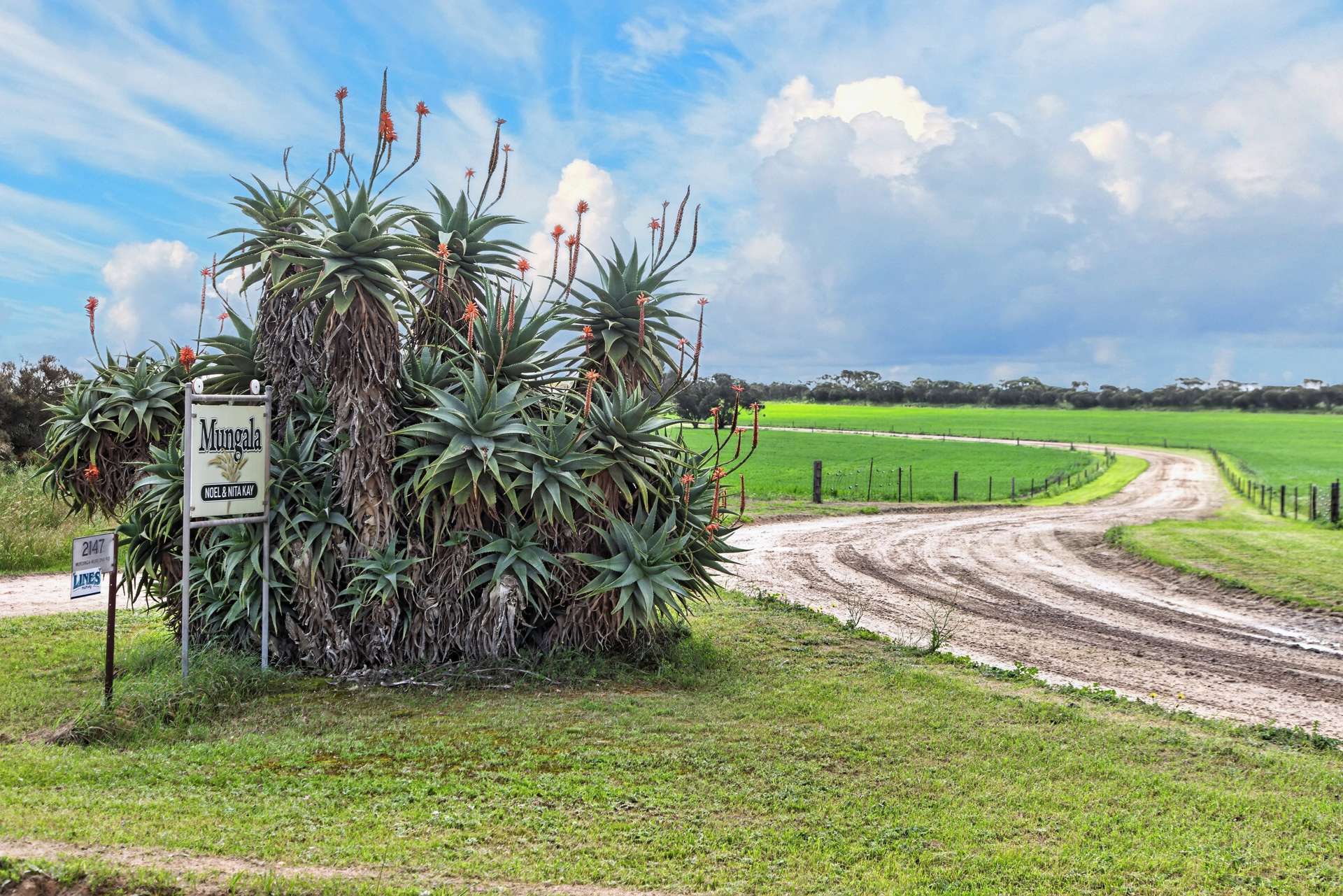 'Mungala' Murdinga-Murlong Road, Murlong For Sale by Farmbuy.com - image 10